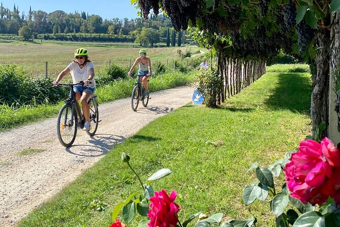 E-Bike Tour and wine tasting in Lazise Countryside - From Lazise into the countryside: what the ride is really like