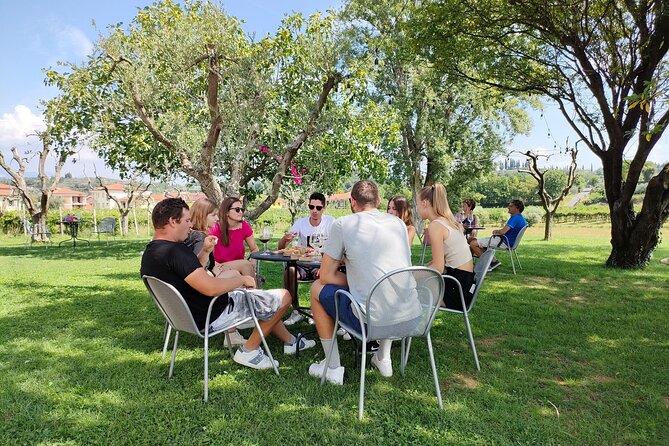 E-Bike Tour and wine tasting in Lazise Countryside - Your guide sets the pace (and that’s the whole point)