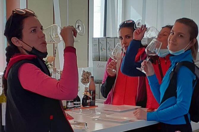 E-Bike tour with stop in the cellar in the Bardolino area - Key highlights you’ll actually feel on the ride