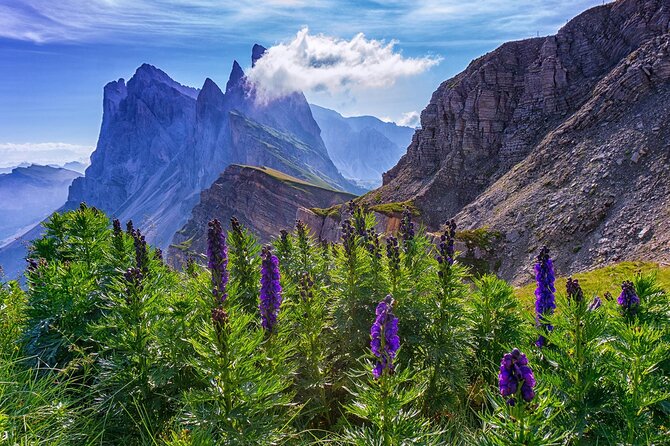 From Bolzano: Private Tour of Dolomites in Mount Seceda and Funes Valley - Who this Dolomites private tour suits best