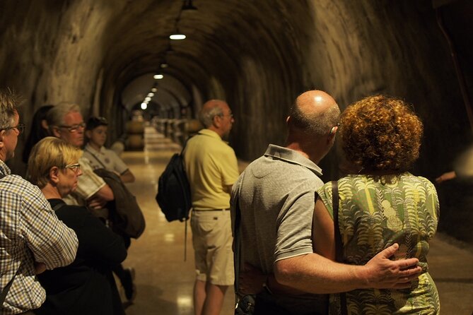 From Lake Garda: Full-Day Valpolicella Wine and Lunch Guided Trip - Key highlights you’ll actually care about