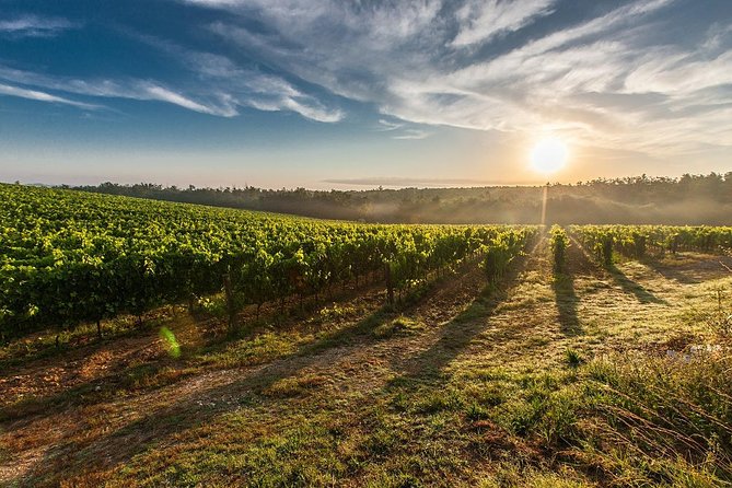 From Lake Garda: Full-Day Valpolicella Wine and Lunch Guided Trip - Quick Tips Before You Go