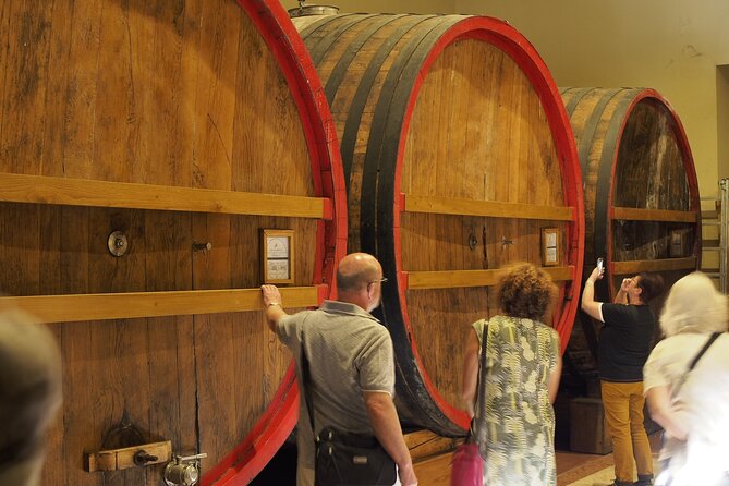 From Lake Garda: Full-Day Valpolicella Wine and Lunch Guided Trip - Winery Visit and Wine Tasting: What You’ll Likely Experience (and How to Make It Better)