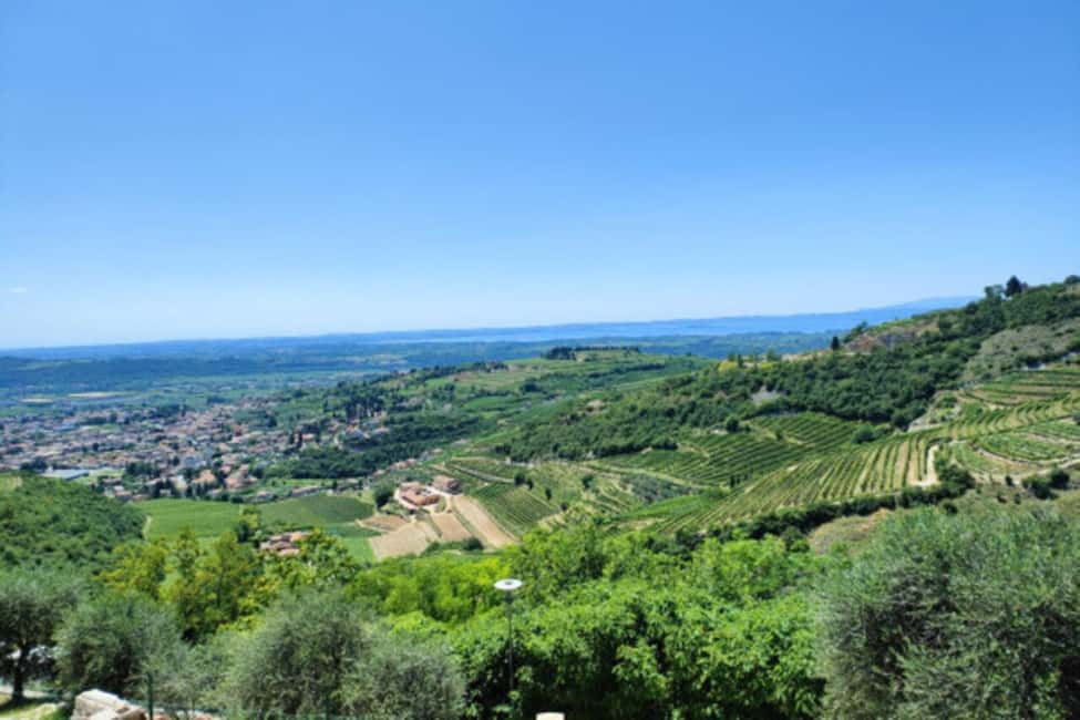 From Verona: Amarone Half-Day Wine Tasting Tour - San Giorgio di Valpolicella: A Quick Stop With Big Payoff