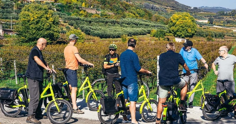 From Verona: Amarone Wine E-Bike Tour with Tasting - Key highlights you should care about