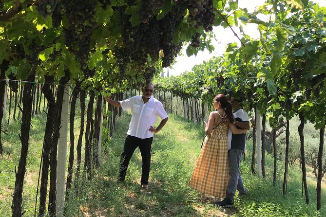 From Verona: Prosecco & Classic method sparkling wine tour, with light lunch - Why this Prosecco tour feels more meaningful than a basic tasting