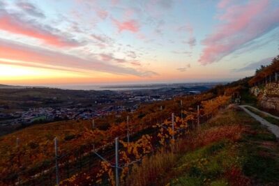 From Verona: Prosecco & Classic method sparkling wine tour, with light lunch - The drive out of Verona: Colli Berici country in about 45 minutes