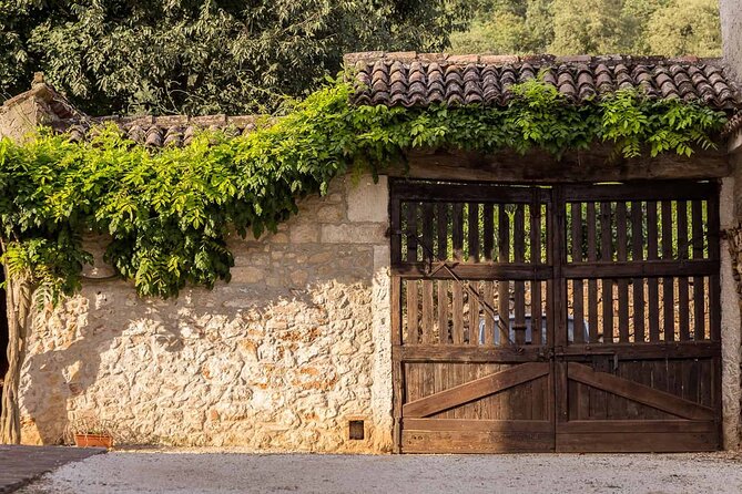 From Verona: Prosecco & Classic method sparkling wine tour, with light lunch - Stop 2: Charmat-method Prosecco, lunch over the vines, and local food that actually feels local