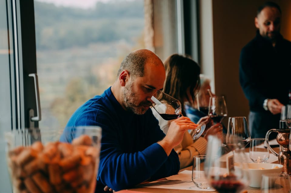 From Verona: Valpolicella and Amarone Wine Tasting Tour - Stop 2: comparing two winery styles with tastings and pairing food