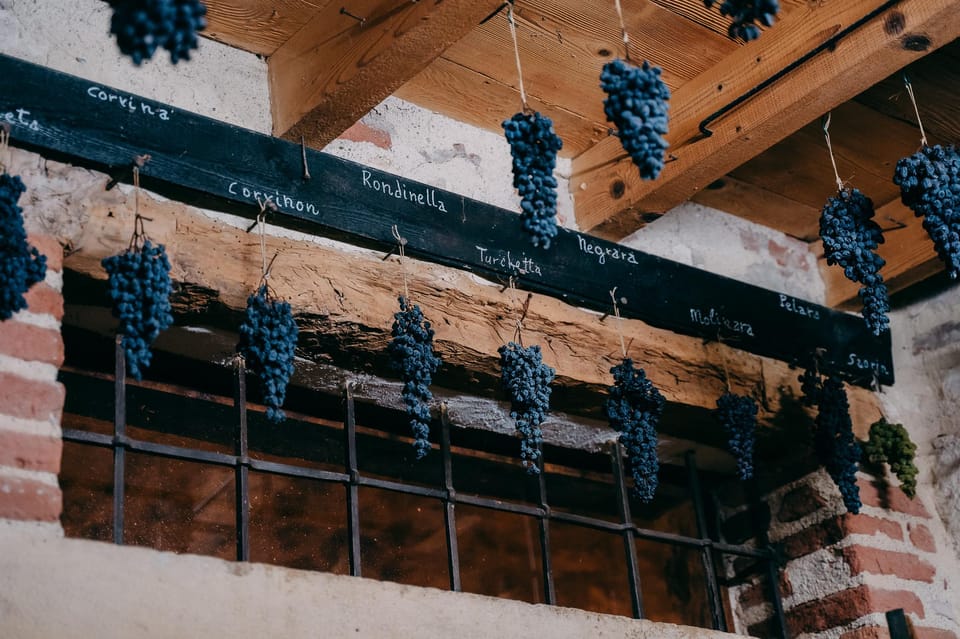 From Verona: Valpolicella and Amarone Wine Tasting Tour - Is $112.15 good value? Two tastings, guided context, and transport