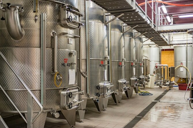 GOLD EXPERIENCE - Winery tour & tasting at Villa Corniole - Cembra Valley wine context: what you’re learning without the lectures