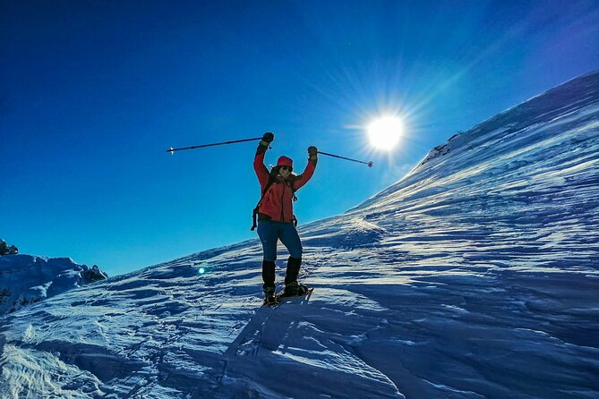 Guided Snowshoeing Day to Discover the Dolomites - Why guided snowshoeing in the Dolomites feels so different than hiking