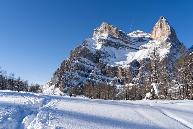 Guided Snowshoeing Day to Discover the Dolomites - How fit do you need to be for 6–7 hours in snow?