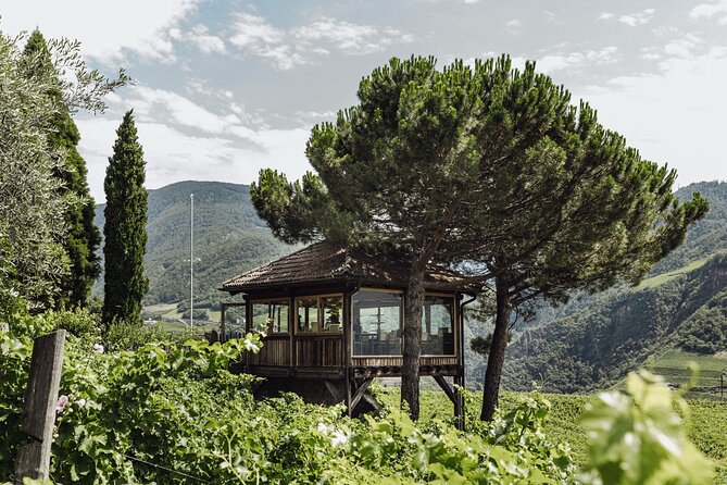 Guided winery tour with tasting in Bolzano at the SKYWINE PAVILLON - Key Highlights You Should Know Before You Go