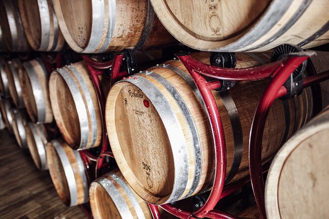 Guided winery tour with tasting in Bolzano at the SKYWINE PAVILLON - Practical Tips So Your Tour Goes Smooth