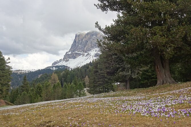 Hiking tour in the World Natural Heritage Unesco Dolomites - Second Stop: South Tyrol Dolomites Time Beyond the Peak