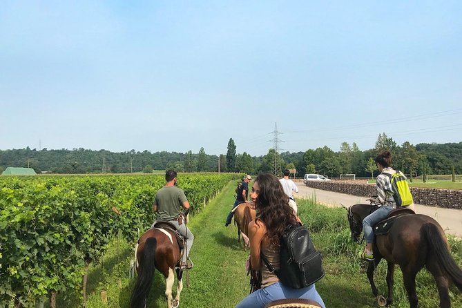 Horseback riding and wine tasting - A morning that teaches while it entertains