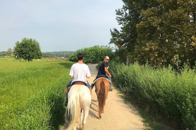 Horseback riding and wine tasting - Private, English-friendly, and very hands-on
