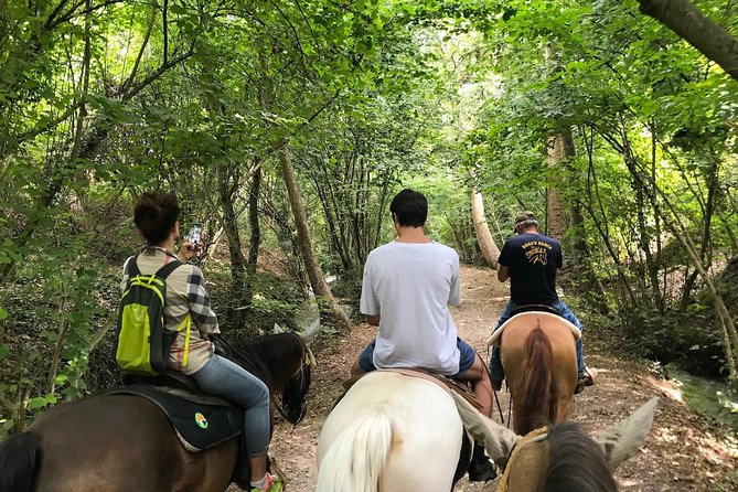 Horseback riding and wine tasting - The ride through vineyards up toward Custoza hill