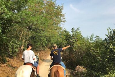 Horseback riding and wine tasting - Key things to know before you go
