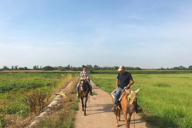 Horseback riding and wine tasting - The family winery: cellar smell and production techniques