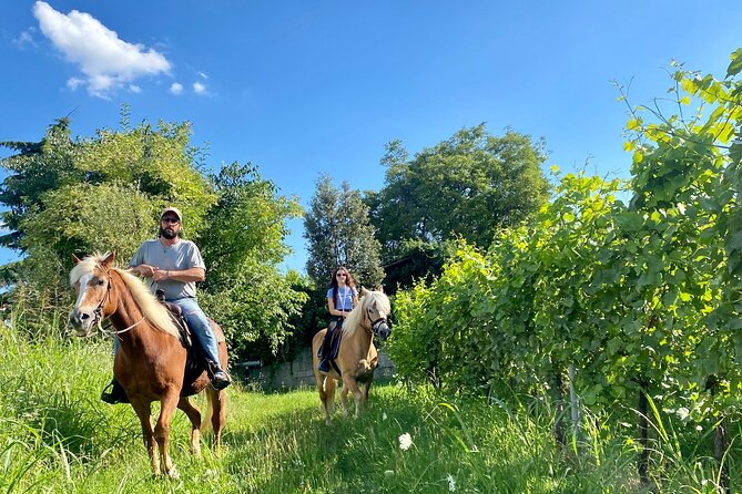 Horseback Riding with Wine and Food Tasting in Lazise Countryside - Key Highlights You’ll Actually Notice