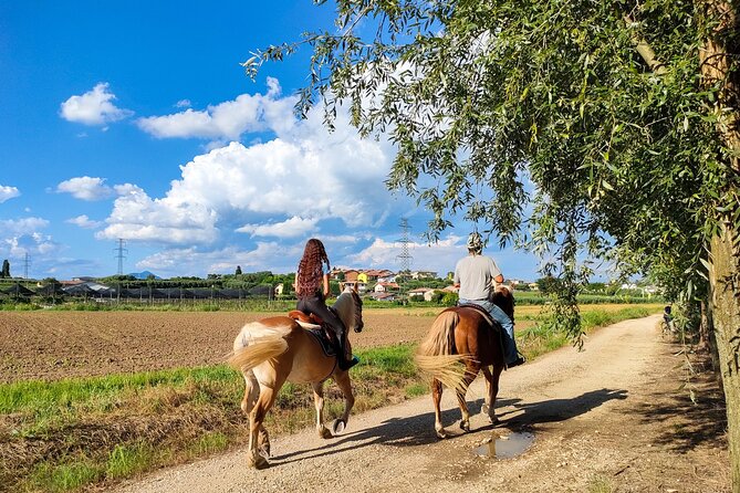Horseback Riding with Wine and Food Tasting in Lazise Countryside - Riding Out of Lazise: Vineyards, Olive Groves, and a Slow Gallop of Views