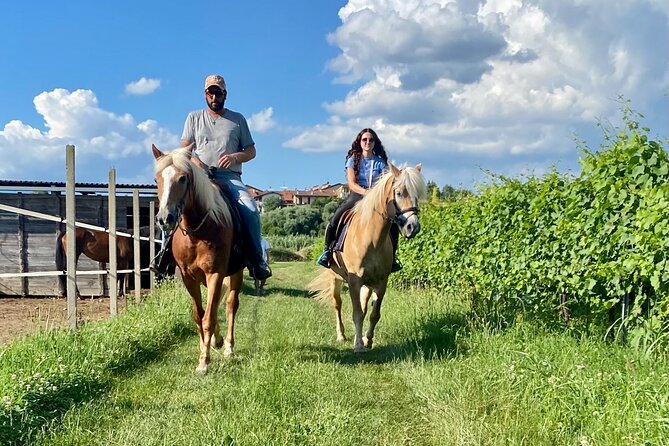 Horseback Riding with Wine and Food Tasting in Lazise Countryside - Wine Tasting at the Farm: Same Place, Same Terroir