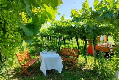 Horseback Riding with Wine and Food Tasting in Lazise Countryside - Apicoltura Morati: Why a Beekeeping Farm Picnic Works So Well