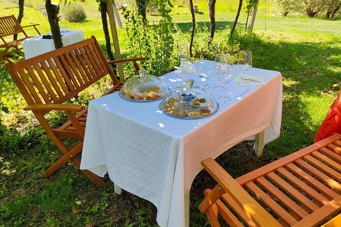Horseback Riding with Wine and Food Tasting in Lazise Countryside - What to Expect from the Timing and the People
