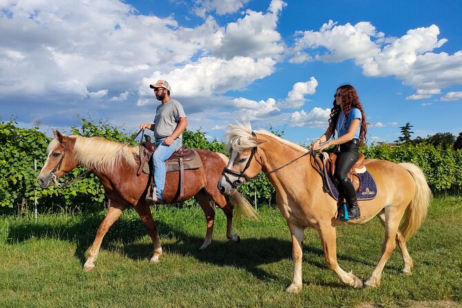 Horseback Riding with Wine and Food Tasting in Lazise Countryside - Should You Book This Lazise Horse-and-Wine Ride?
