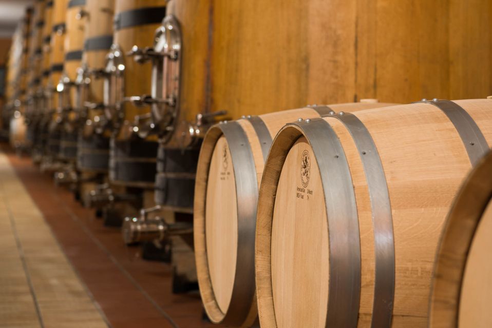 Lake Garda: Garda Hills Wine Tour and Tasting - Who this Lake Garda wine tour suits best (and who should skip)