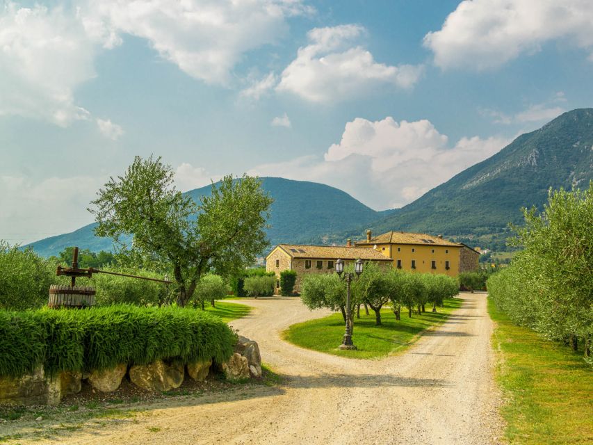 Lake Garda: Garda Hills Wine Tour and Tasting - Should you book this Lake Garda Garda Hills wine tour?