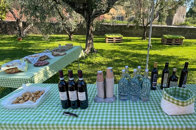 Lake Garda Olive Oil Tour and Tasting Experience - Price and Value: What $34.84 Buys You in Real Experience Time