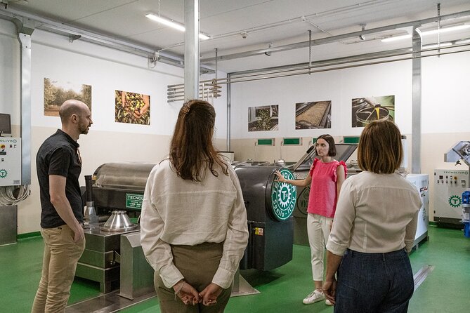 Lake Garda Olive Oil Tour and Tasting Experience - Who Should Book This Lake Garda Olive Oil Experience?