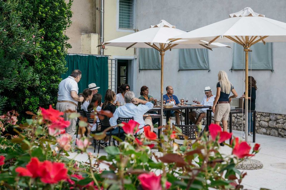 Lake Garda: Vineyard Tour and 6 wine Tasting - Should you book this Lake Garda vineyard tour?