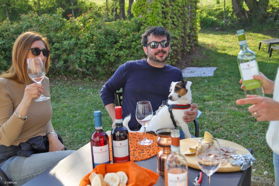 Lake Garda: Vineyard Tour and 6 wine Tasting - Cold cuts and local cheeses pairing: why food matters here