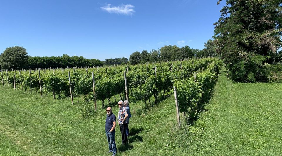 Lake Garda: Vineyard Tour and 6 wine Tasting - Price and value: is $45 for 6 wines worth it?