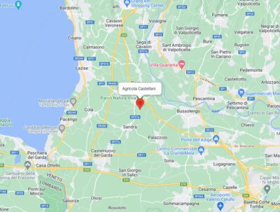 Lake Garda: Vineyard Tour and Tasting on the Hills - Getting There: Località Rotti 69/C and the No-Transfer Part