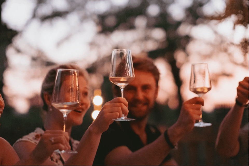 Lake Garda: Vineyard Tour and Tasting on the Hills - The Main Event: Choosing 5 Organic Wines and Pairing Them the Local Way