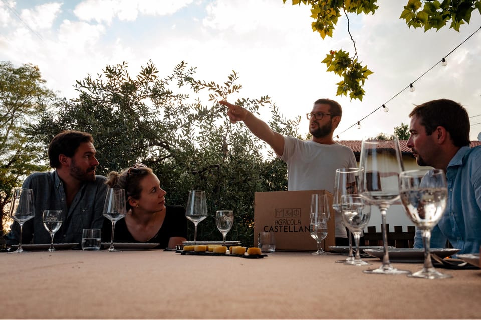 Lake Garda: Vineyard Tour and Tasting on the Hills - Who This Tour Is Best For (and Who Might Skip It)