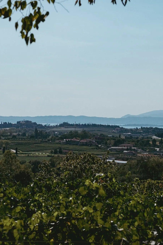 Lake Garda: Vineyard Tour and Tasting on the Hills - Should You Book the Lake Garda Vineyard and Wine Tasting?