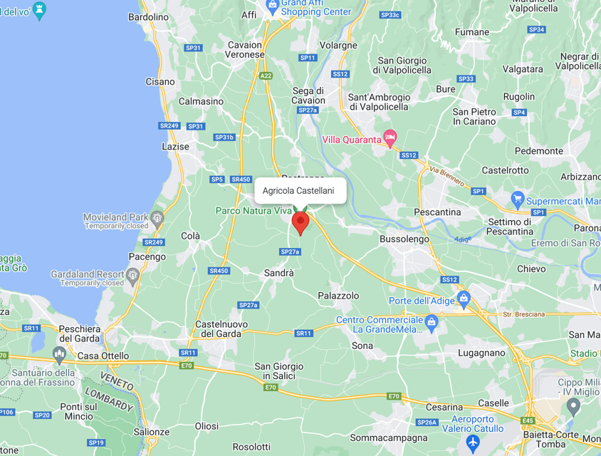 Lake Garda: Vineyard Tour and Tasting on the Hills - Getting There: Località Rotti 69/C and the No-Transfer Part
