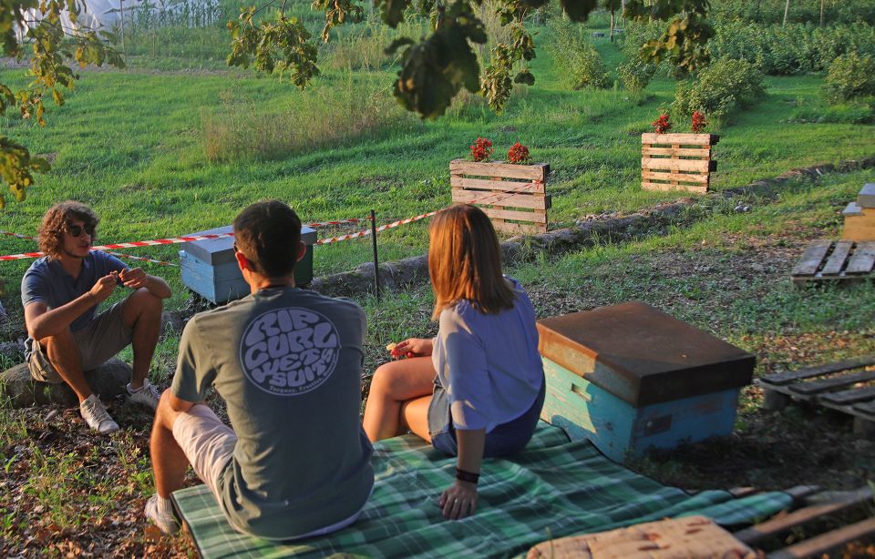 Lazise: Beekeeping Farm Tour and Tasting Experience - Timing and what to do if it rains