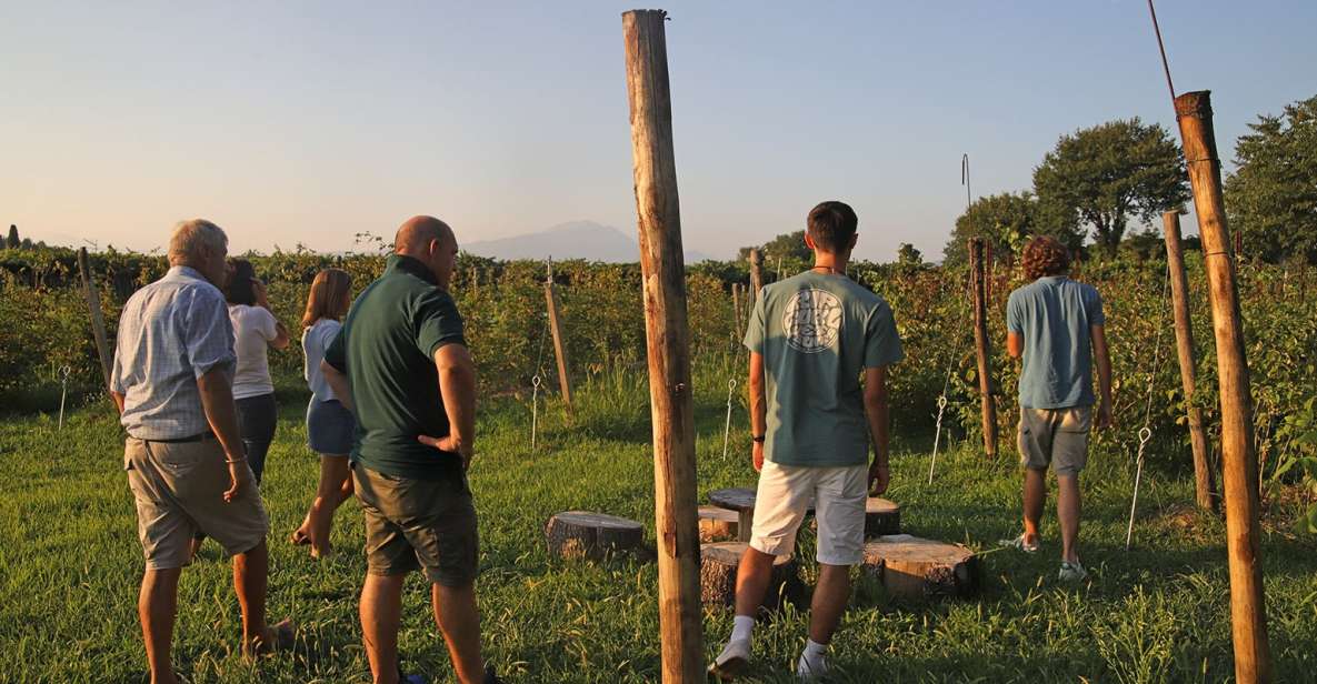 Lazise: Beekeeping Farm Tour and Tasting Experience - Two hours on a working beekeeping farm (not a museum stop)
