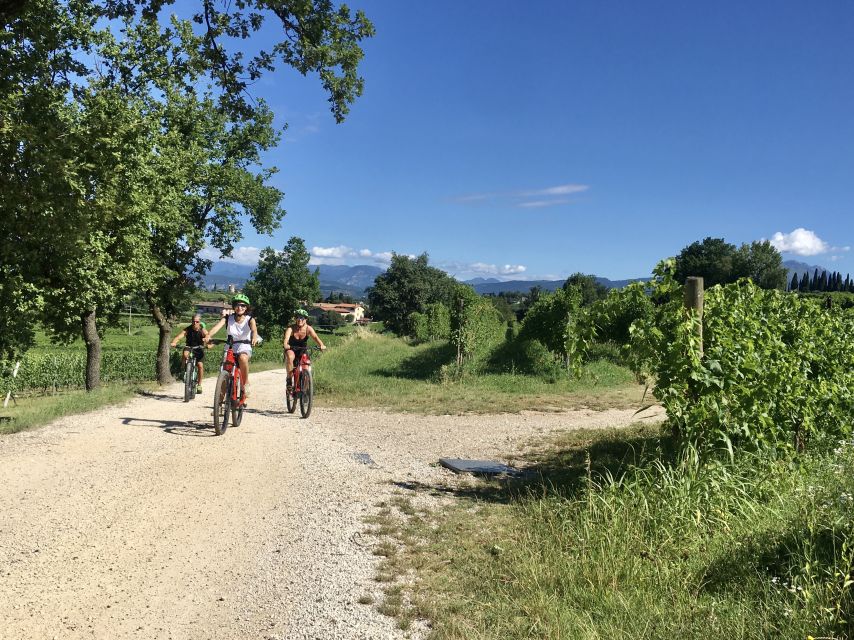 Lazise: Bike Tour and Wine Tasting - Meeting at Le Ginestre Winery in Lazise (Your Starting Line)
