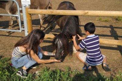 Lazise: Biodynamic Farm Tour and Natural Wine Tasting - Getting to the meeting point (and parking without stress)