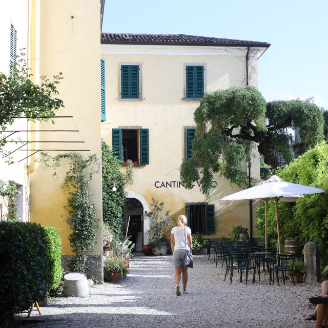 Lazise: Historical Center Wine Tasting Tour - The tasting lineup: how the pours are organized (and why it helps)