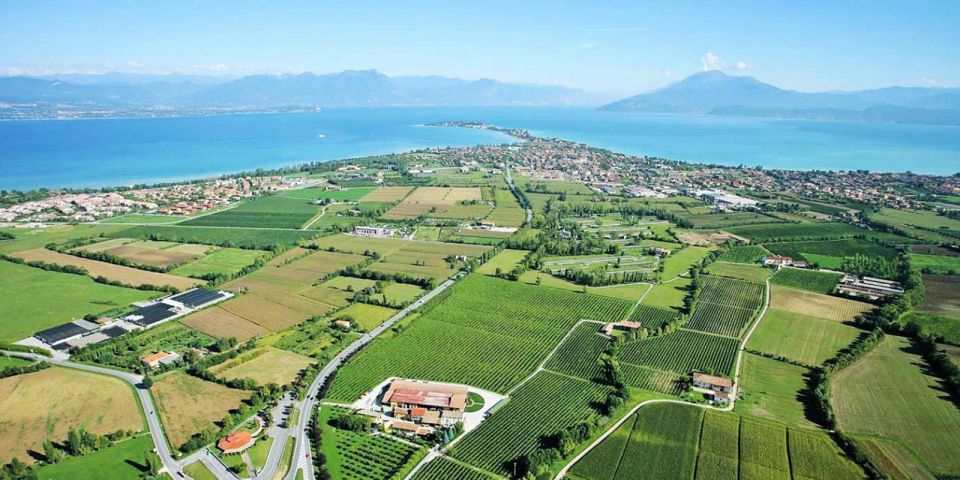 Lugana Wine Tour With Private Panoramic Boat on Lake Garda - The gourmet lunch: Lugana with lake fish and classic pairings