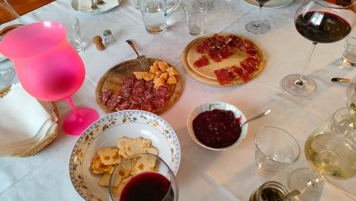Mezzocorona: Teroldego Vineyard Tour and Wine Tasting - Key things to know before you go